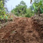 7e475374-8e53-42e3-9065-80d7304a27d7-compressed