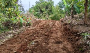 7e475374-8e53-42e3-9065-80d7304a27d7-compressed