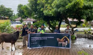 IMG-20260526-WA0043